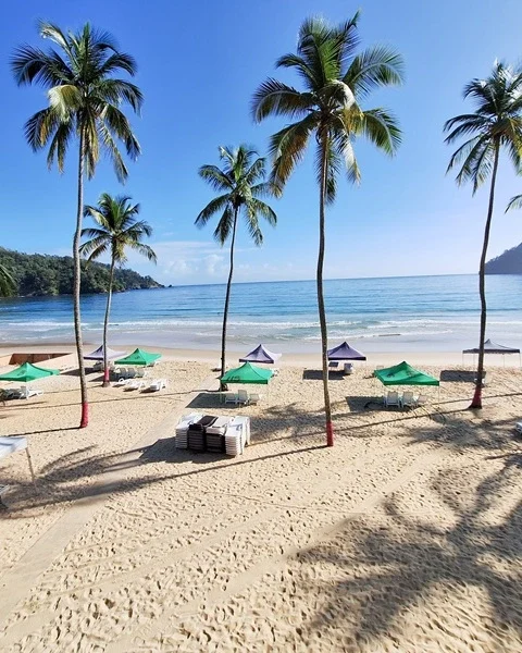 Maracas